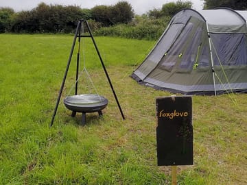 Grassy pitches