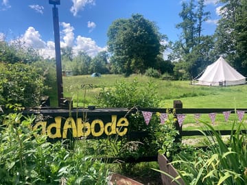 Www.toadabode.co.uk
