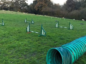 Try out the dog agility course