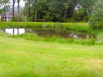 Small pond located on site