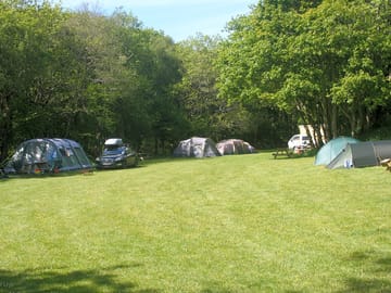 Lower field