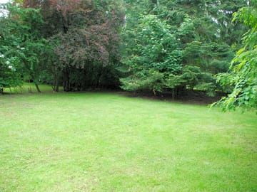 The site