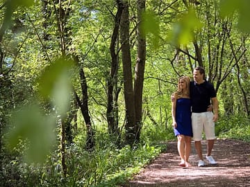 Woodland nature walk