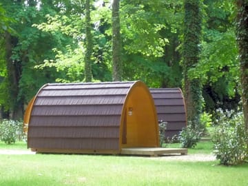 Pods among the trees