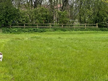 Grass pitches