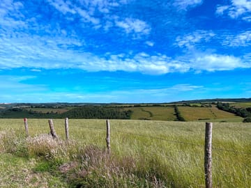 Beautiful sunny view