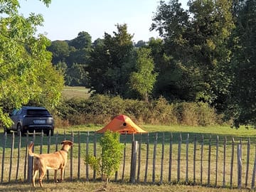 Tree-backed pitches