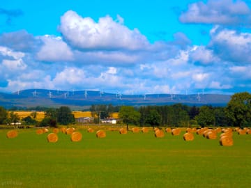 Rural views