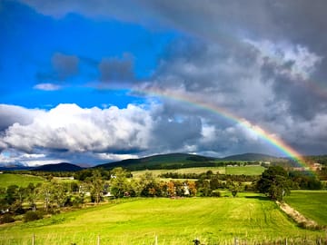 Rainbow