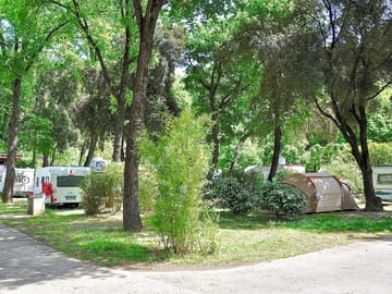 Pitches sheltered by trees