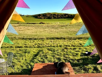 View from bell tent