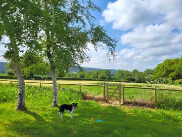 Take the little gate out into our fields
