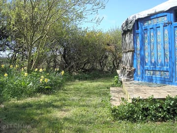 Birch yurt