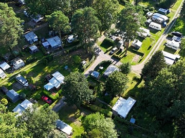 Pitches among the trees