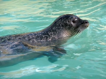 Natureland seal sanctuary