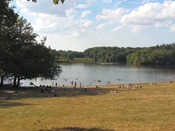 View of the lake