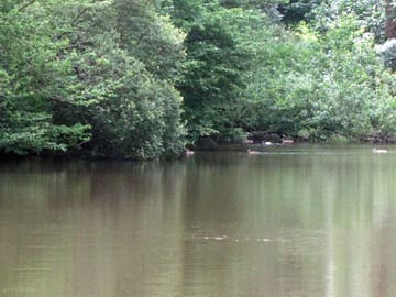 Large pond on site