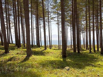 Walks nearby