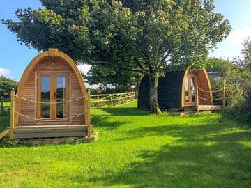 Pods