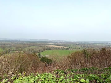 The south downs