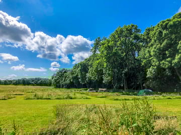 Camping pitches