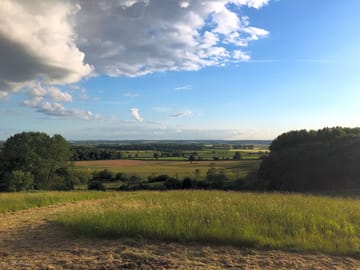 Rural views