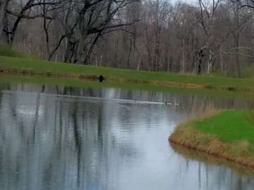 One of the lakes and the hiking trails in the woods
