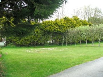 Grassy pitches