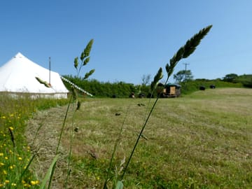 Field view