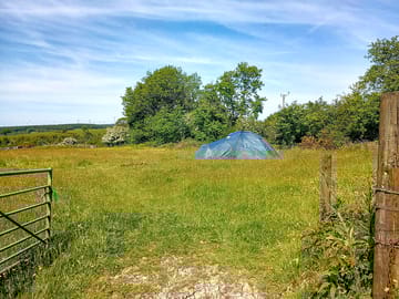 Spacious meadow pitches