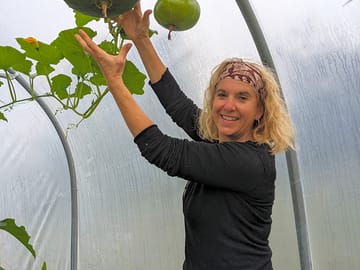 Take a tour of our organic veg polytunnel