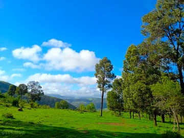 Surroundings
