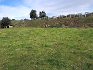 Grass bank