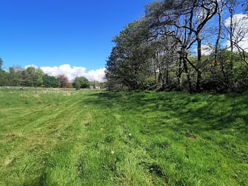 Peaceful surroundings