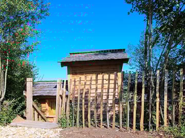 Hut surrounded by trees