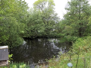 Ponds on site