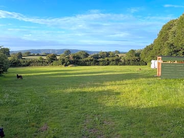 Grassy pitches