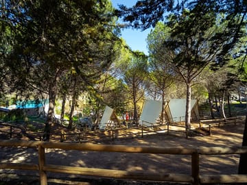 Tipis amid the trees