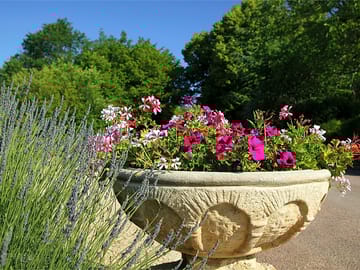 Flowers on site