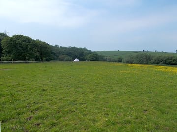 Coed derw