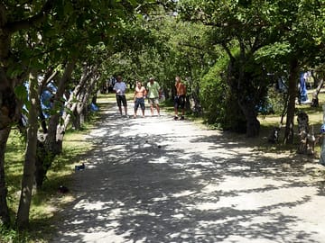 Pétanque court