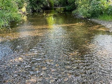 River on the site