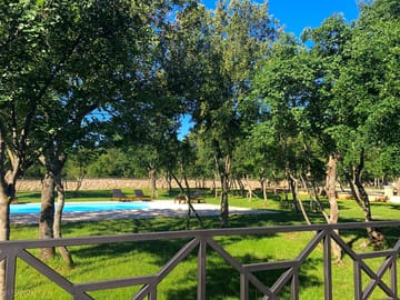 The pool