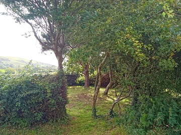 Private pitches in the trees