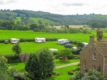 Grass pitches