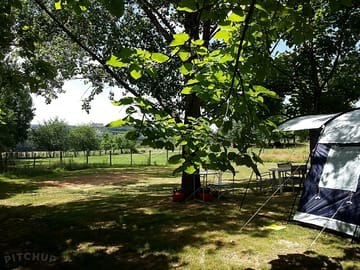 TN2 non-electric grass tent pitch