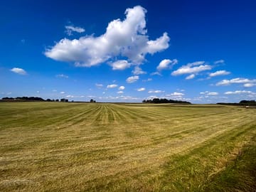 Meadow area