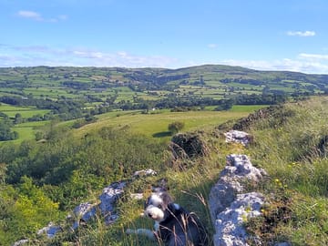 Views in the surrounding area