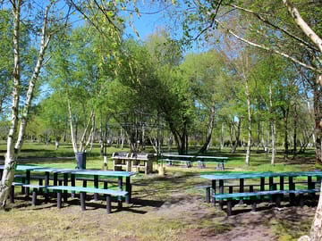 The picnic area and shared barbecues