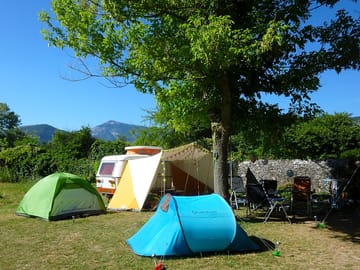Grass pitches shaded by trees